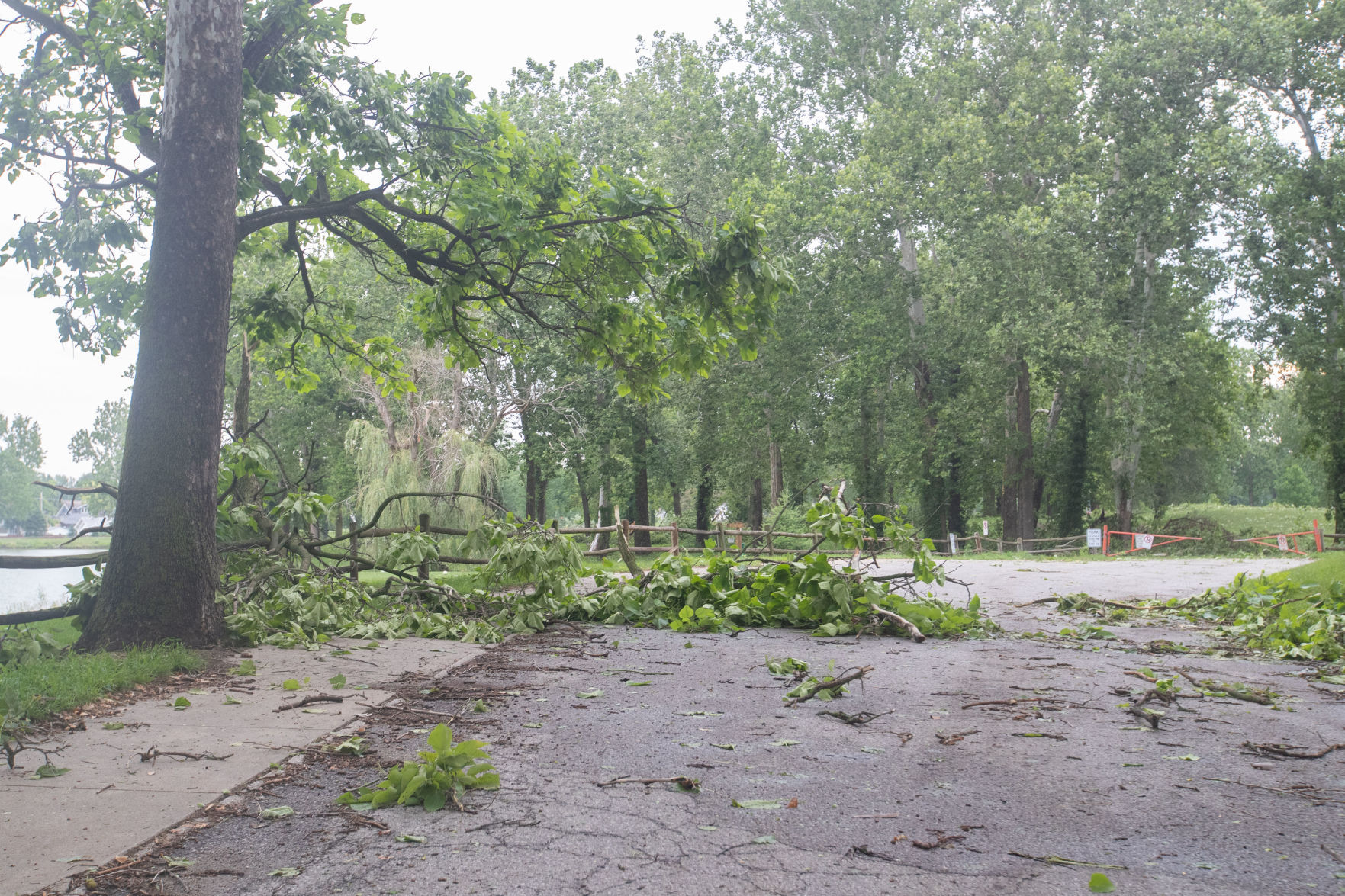 071121-owh-stormdamage-LS03.JPG